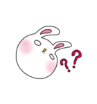 白目の、うさぎ（個別スタンプ：5）