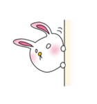 白目の、うさぎ（個別スタンプ：22）