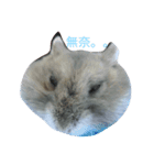 hamster cheung cheung（個別スタンプ：2）
