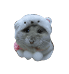 hamster cheung cheung（個別スタンプ：3）
