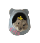 hamster cheung cheung（個別スタンプ：6）