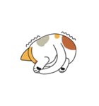COSOCOSO（個別スタンプ：16）