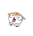 COSOCOSO（個別スタンプ：21）