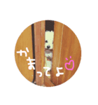 楽しい生活♡（個別スタンプ：7）