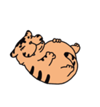TAETIGER（個別スタンプ：10）