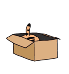 TAETIGER（個別スタンプ：36）