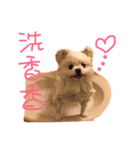 cici0105（個別スタンプ：6）