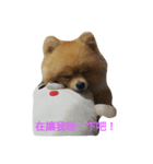 nekocat~（個別スタンプ：1）