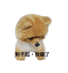 nekocat~（個別スタンプ：4）