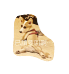 Habib QQ（個別スタンプ：6）