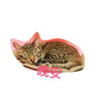 riceball-1（個別スタンプ：2）