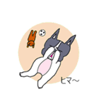 きよじ君とビビちゃん（個別スタンプ：20）