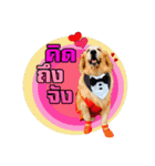 Auto Golden Retriever（個別スタンプ：19）