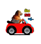 Auto Golden Retriever（個別スタンプ：20）