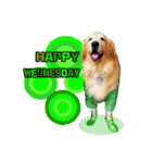 Auto Golden Retriever（個別スタンプ：36）