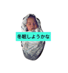 うちのかわいいさん（個別スタンプ：11）