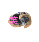 まるきん♡（個別スタンプ：6）