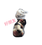 Very cute dogs and baby（個別スタンプ：2）