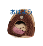 siroiinu（個別スタンプ：10）