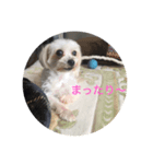 ヨーク＆マミィ（個別スタンプ：5）