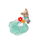 airly's dog komomo（個別スタンプ：5）