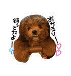 クウちゃんとソラくん（個別スタンプ：1）