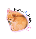 クウちゃんとソラくん（個別スタンプ：5）