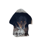 Name of Roku（個別スタンプ：3）