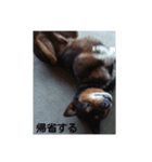 Name of Roku（個別スタンプ：4）