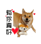 enjoy with sunny dog sticker（個別スタンプ：32）