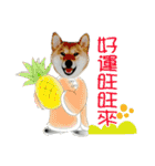 enjoy with sunny dog sticker（個別スタンプ：38）
