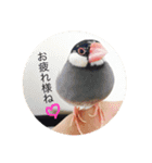 ぴろきすたんぷ（個別スタンプ：6）