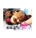 ぴろきすたんぷ（個別スタンプ：11）