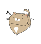 Slow Life of Chubby cat (English ver.)（個別スタンプ：20）