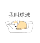 Curly hair guy（個別スタンプ：39）