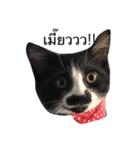 crazycat Lupang（個別スタンプ：1）
