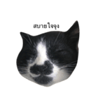 crazycat Lupang（個別スタンプ：8）