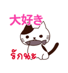 猫 : いつも大好き タイ語日本語（個別スタンプ：4）