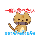 猫 : いつも大好き タイ語日本語（個別スタンプ：12）