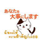 猫 : いつも大好き タイ語日本語（個別スタンプ：22）
