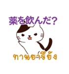 猫 : いつも大好き タイ語日本語（個別スタンプ：38）