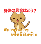 猫 : いつも大好き タイ語日本語（個別スタンプ：39）