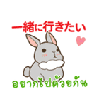 ウサギ : いつも大好き タイ語日本語（個別スタンプ：11）