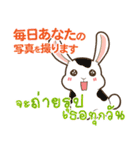 ウサギ : いつも大好き タイ語日本語（個別スタンプ：30）