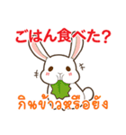 ウサギ : いつも大好き タイ語日本語（個別スタンプ：31）