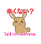 ウサギ : いつも大好き タイ語日本語（個別スタンプ：36）
