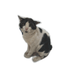 Kenthos the buluk cat（個別スタンプ：5）