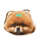 the dog is Gimbo2（個別スタンプ：11）