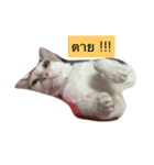ESSENCES（個別スタンプ：8）