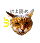 石の上にも3年寝タロー2（個別スタンプ：2）